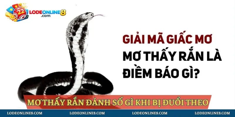 Giải mã khi thấy rắn đuổi bản thân