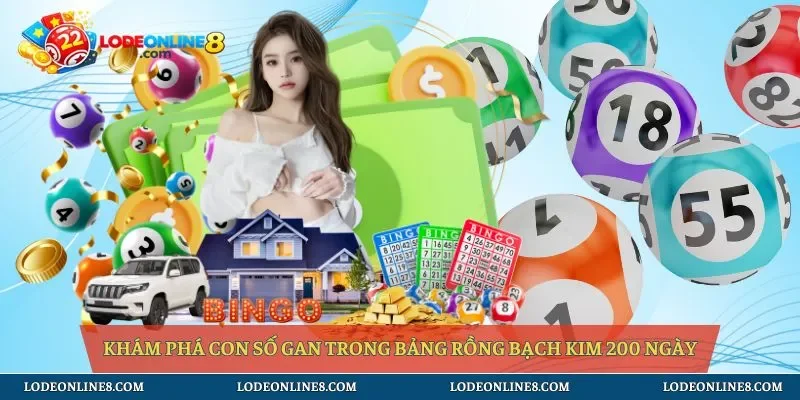 Khám phá con số gan trong bảng rồng bạch kim 200 ngày