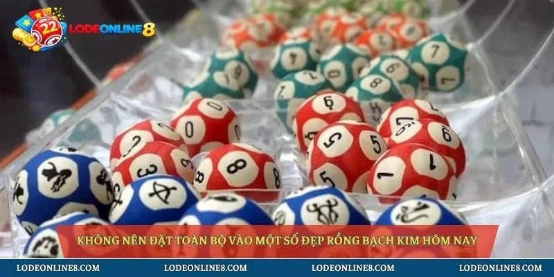 Không nên đặt toàn bộ vào một số đẹp rồng bạch kim hôm nay