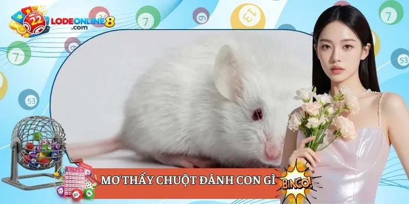 mơ thấy chuột đánh con gì