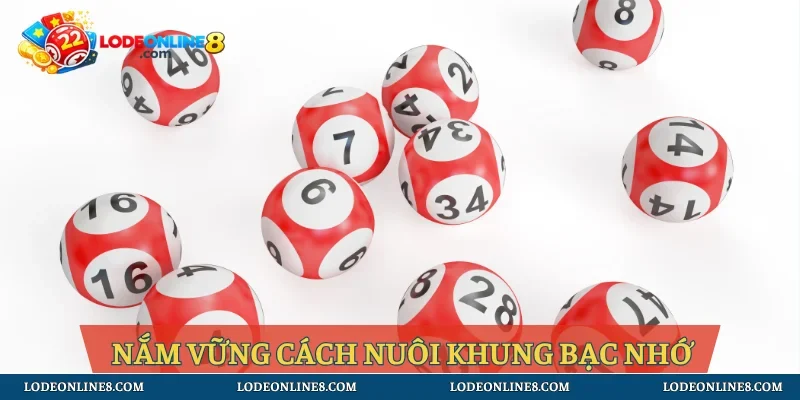 Nắm vững cách nuôi khung bạc nhớ
