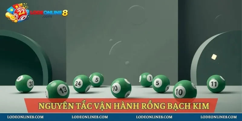 Nguyên tắc vận hành 