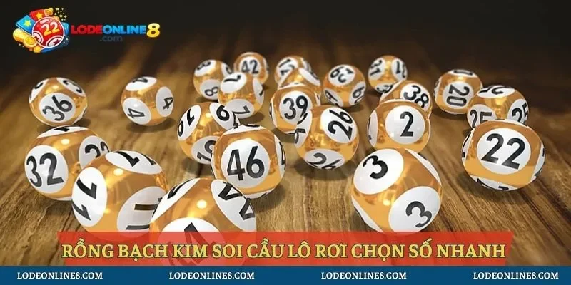 Rồng bạch kim soi cầu lô rơi phương pháp hỗ trợ chọn số hiệu quả