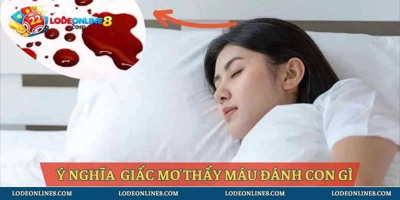 Ý nghĩa giấc mơ thấy máu đánh con gì